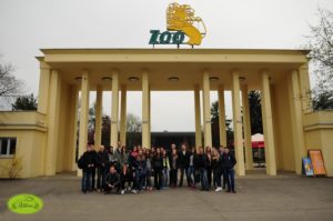 biozoo